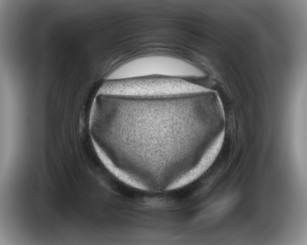 X0000083580259200703091704