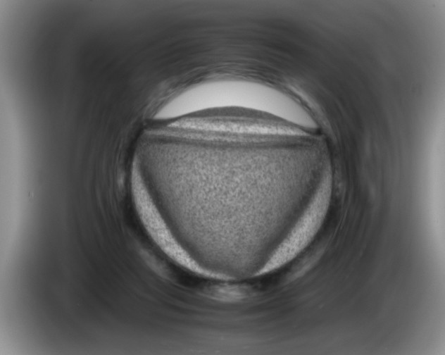 X0000083580261200703091704