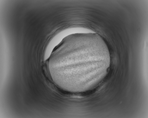X0000083580262200703091704