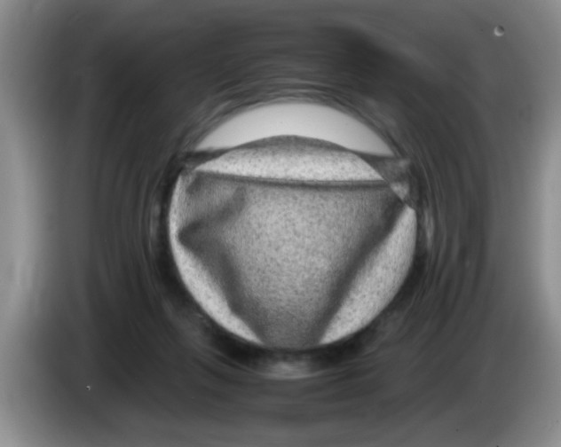X0000083580263200703091704