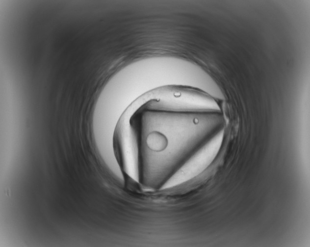 X0000083580264200703091704