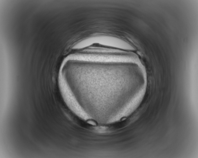 X0000083580265200703091704
