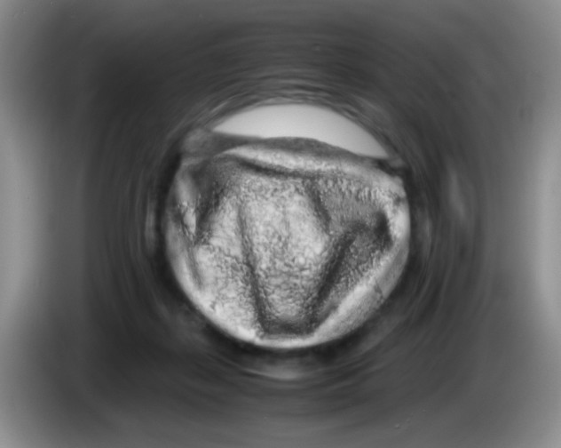 X0000083580267200703091704
