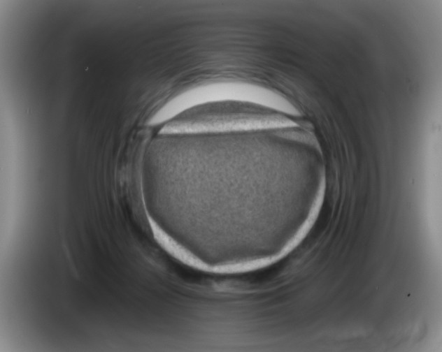X0000083580268200703091704