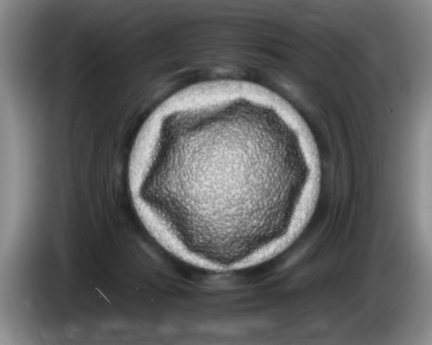 X0000083580269200703091704