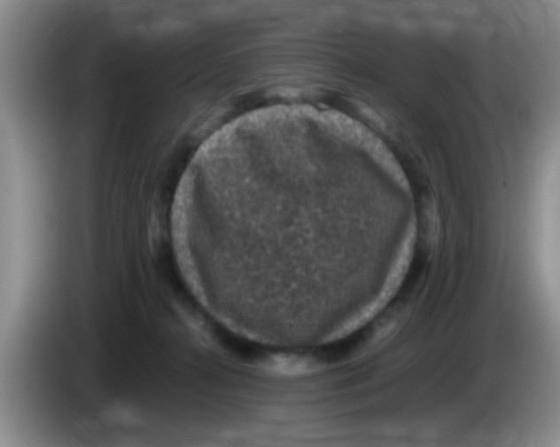 X0000083580272200703091704