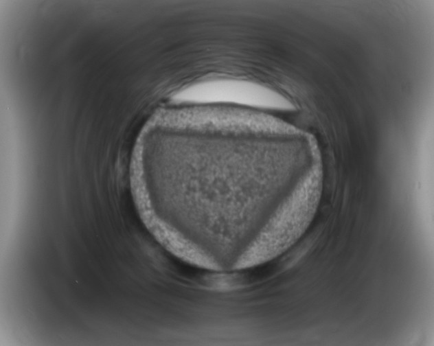X0000083580273200703091704