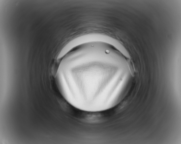 X0000083580274200703091704
