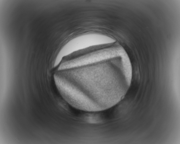 X0000083580275200703091704
