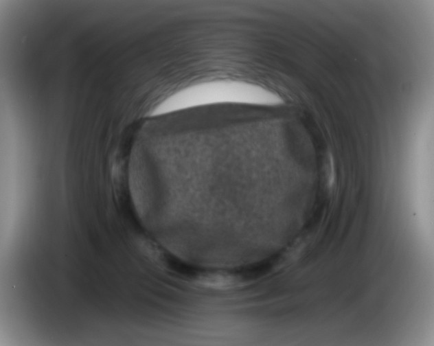X0000083580276200703091705