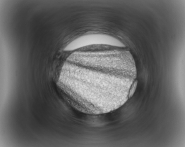 X0000083580277200703091705