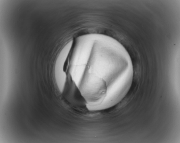 X0000083580278200703091705