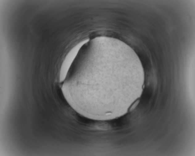 X0000083580279200703091705