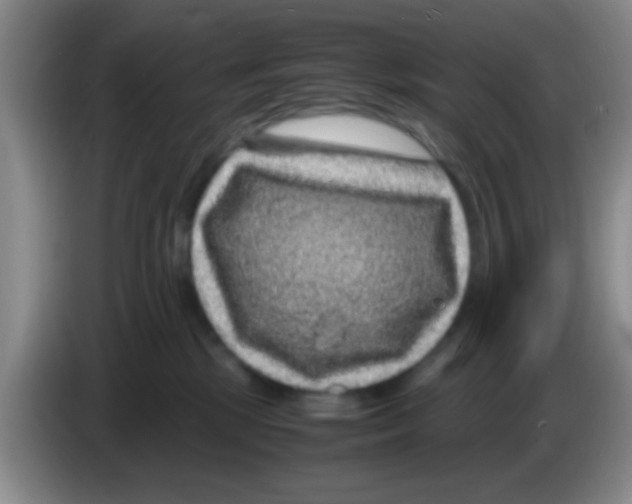 X0000083580281200703091705