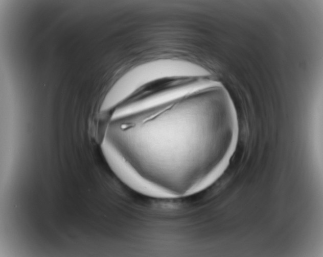 X0000083580282200703091705