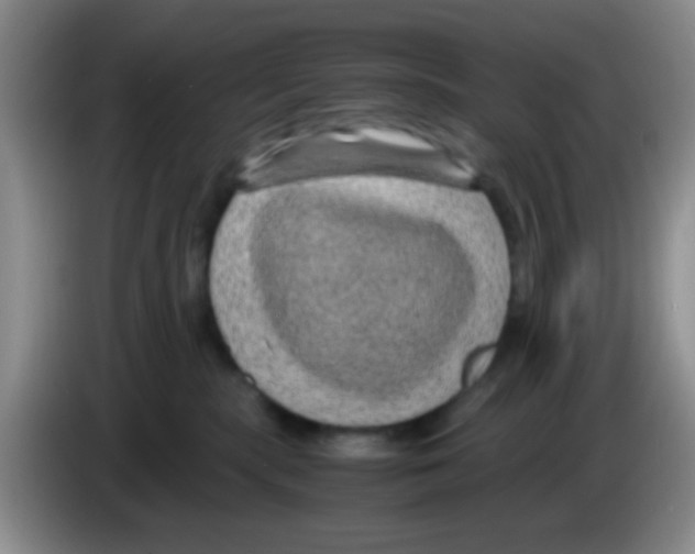 X0000083580283200703091705
