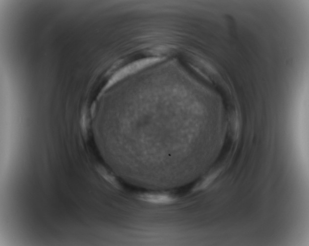 X0000083580284200703091705