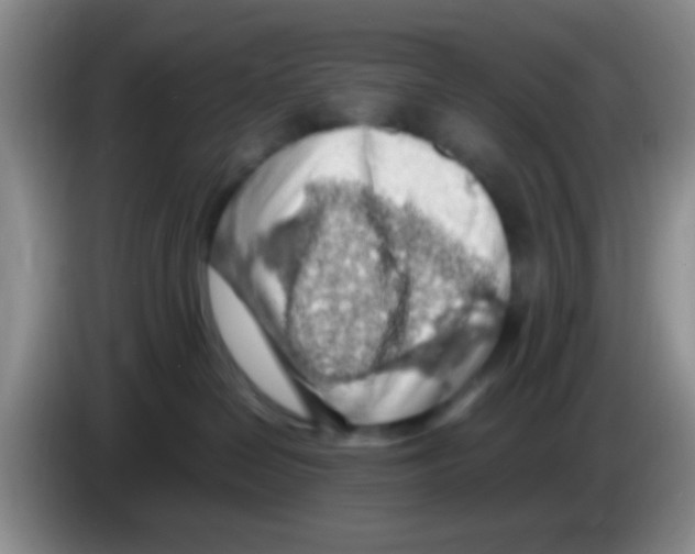 X0000083580286200703091705