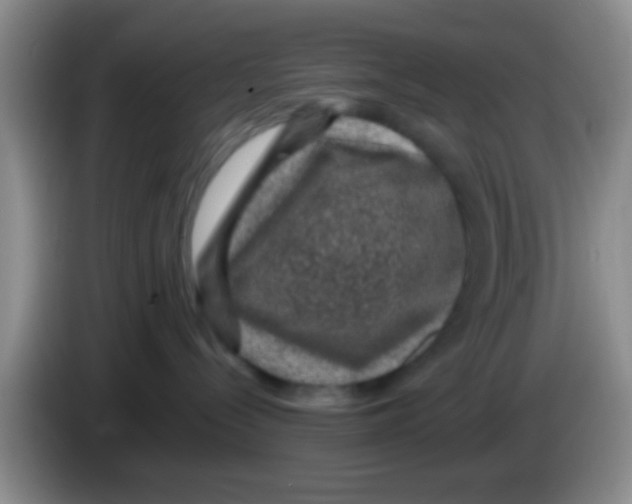 X0000083580288200703091705