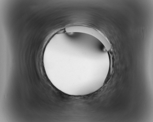 X0000083580289200703091704