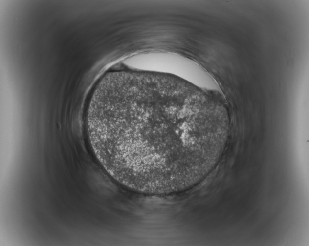 X0000083580290200703091704