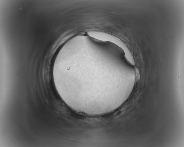 X0000083580291200703091704
