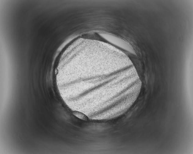 X0000083580292200703091704