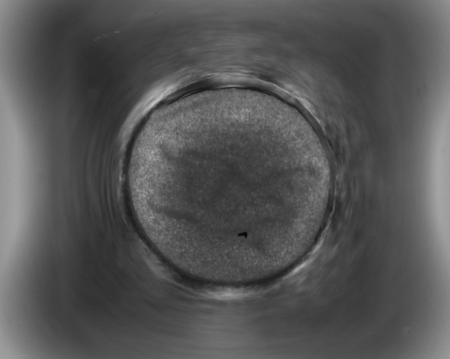 X0000083580293200703091704