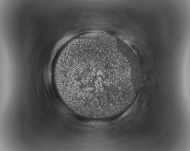 X0000083580294200703091704