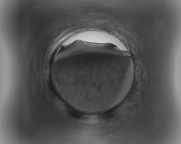 X0000083580295200703091704