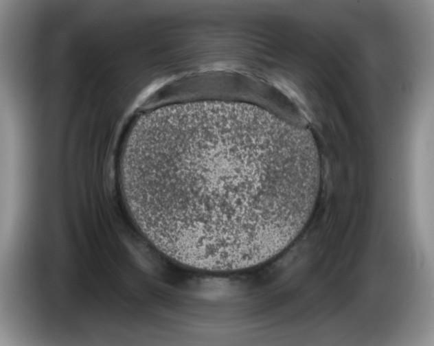 X0000083580298200703091704