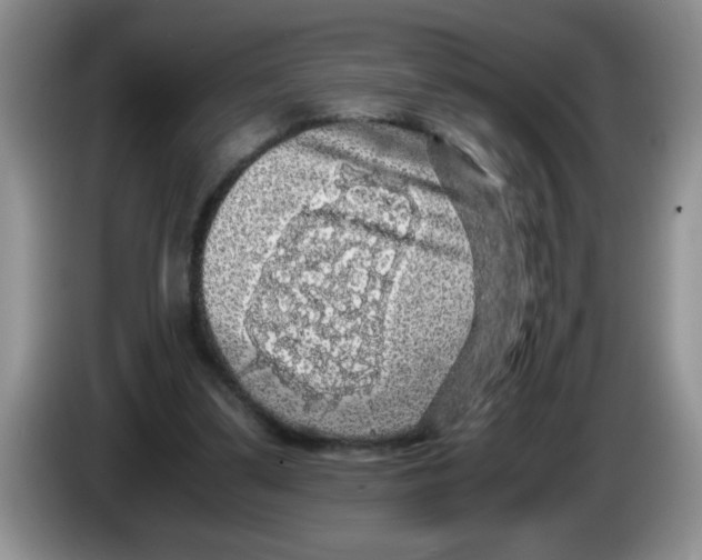X0000083580299200703091704