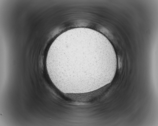 X0000083580300200703091704