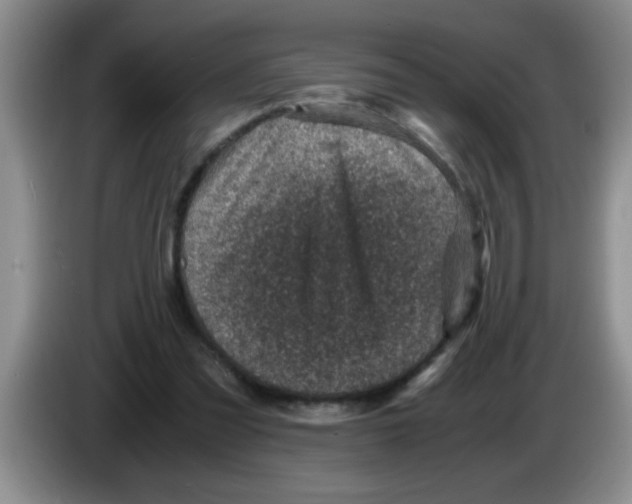 X0000083580301200703091704