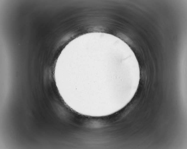 X0000083580302200703091704