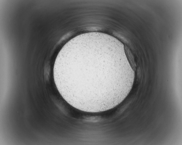 X0000083580304200703091704