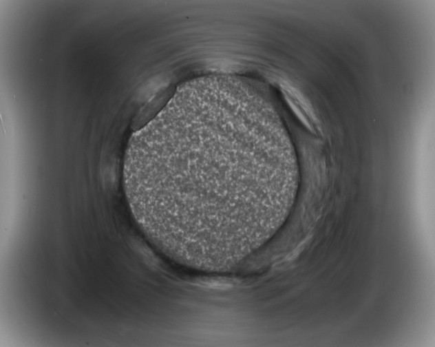 X0000083580305200703091704