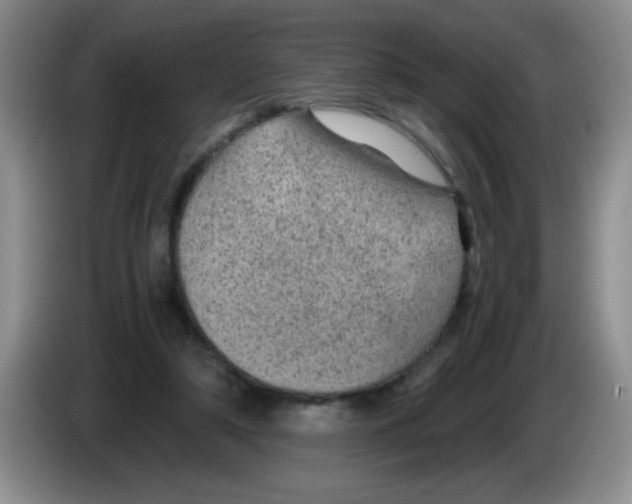 X0000083580306200703091704