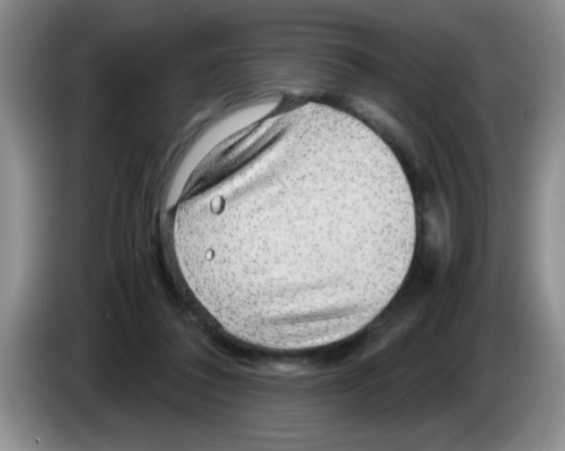 X0000083580308200703091704