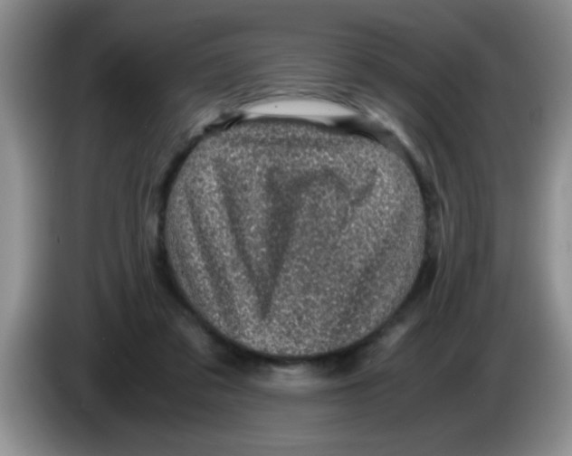 X0000083580309200703091704