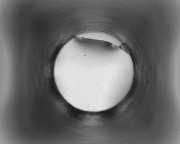 X0000083580311200703091704