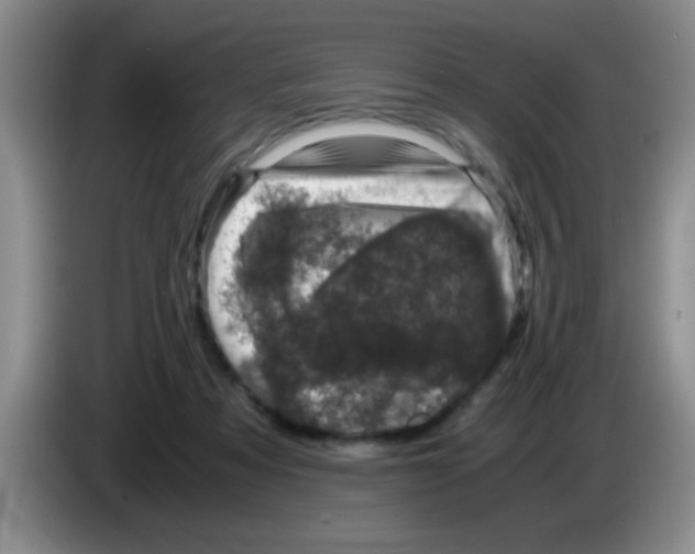 X0000083580313200703091704