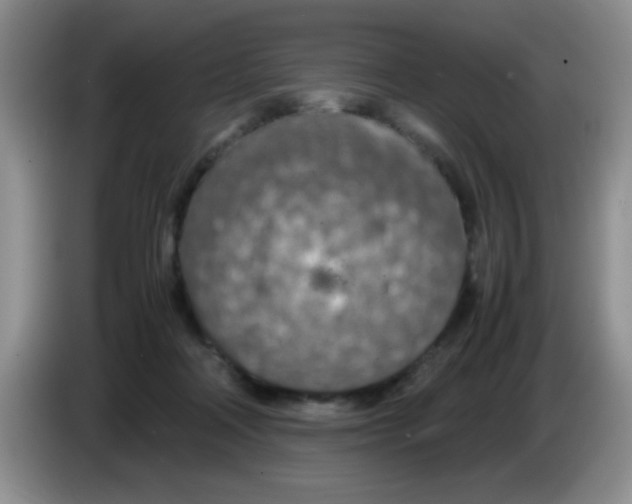 X0000083580314200703091704