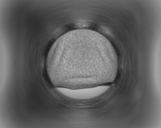 X0000083580315200703091704