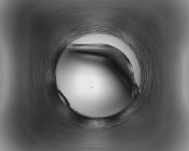 X0000083580317200703091704