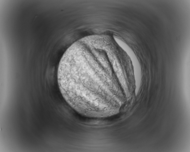 X0000083580319200703091704