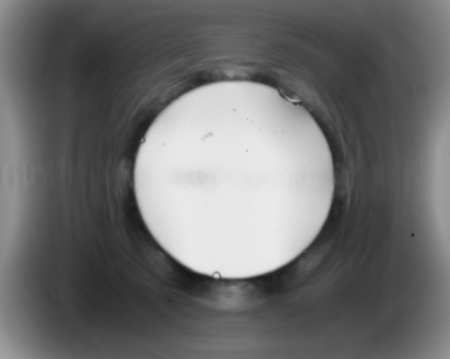 X0000083580321200703091704