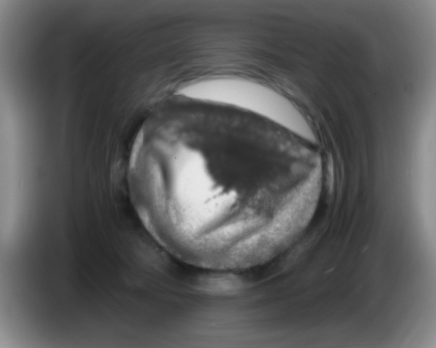 X0000083580322200703091704