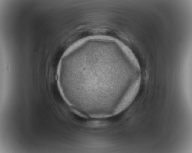 X0000083580323200703091704