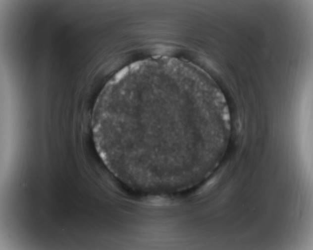 X0000083580325200703091704